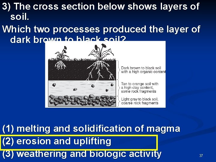 3) The cross section below shows layers of soil. Which two processes produced the 3) The cross section below shows layers of soil. Which two processes produced the