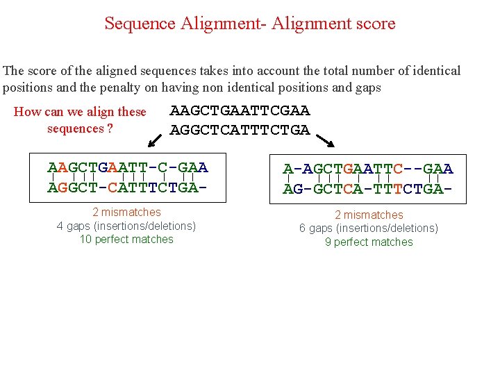 Sequence Alignment- Alignment score The score of the aligned sequences takes into account the