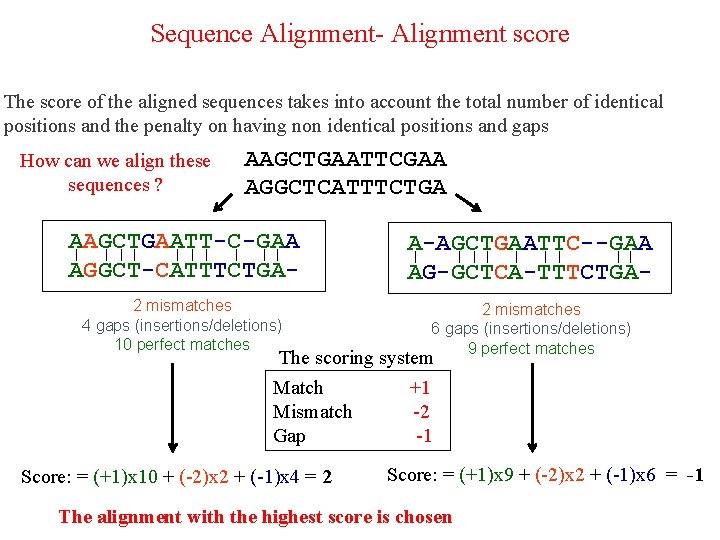 Sequence Alignment- Alignment score The score of the aligned sequences takes into account the