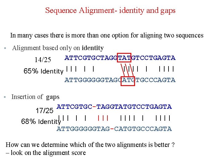 Sequence Alignment- identity and gaps In many cases there is more than one option