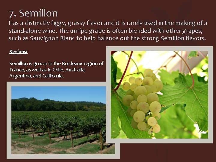 7. Semillon Has a distinctly figgy, grassy flavor and it is rarely used in
