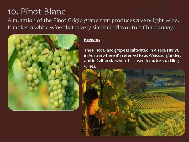 10. Pinot Blanc A mutation of the Pinot Grigio grape that produces a very