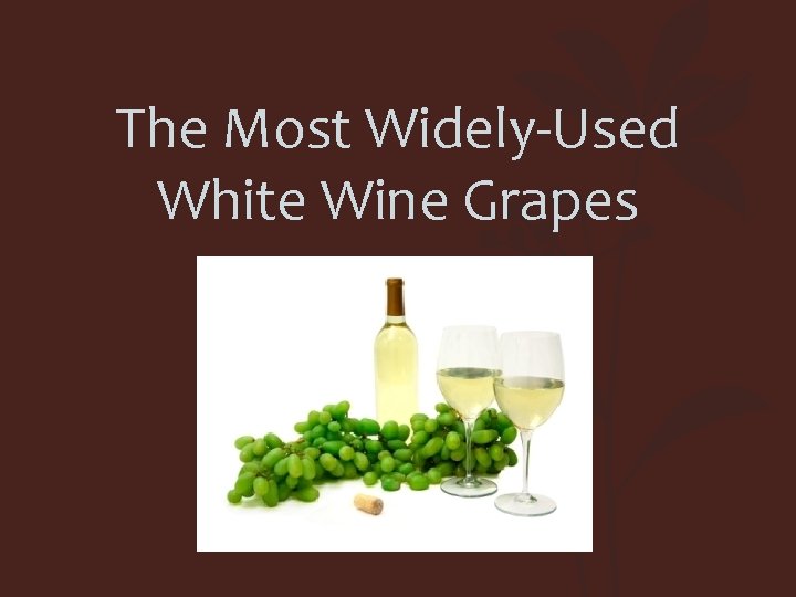 The Most Widely-Used White Wine Grapes 