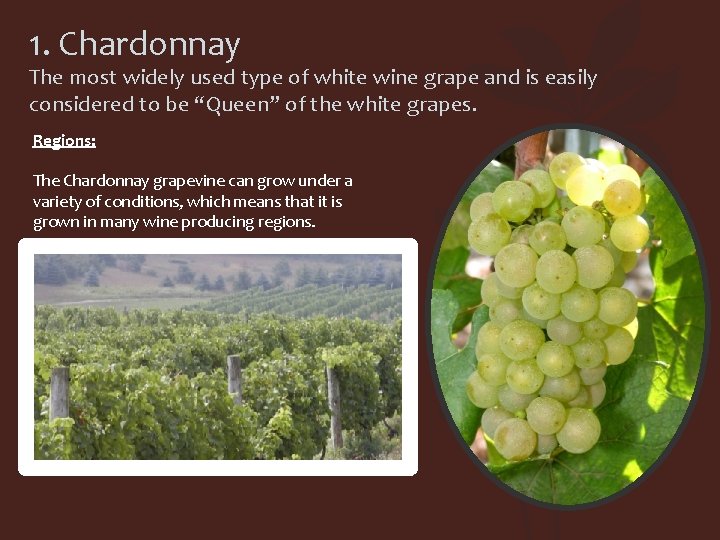 1. Chardonnay The most widely used type of white wine grape and is easily
