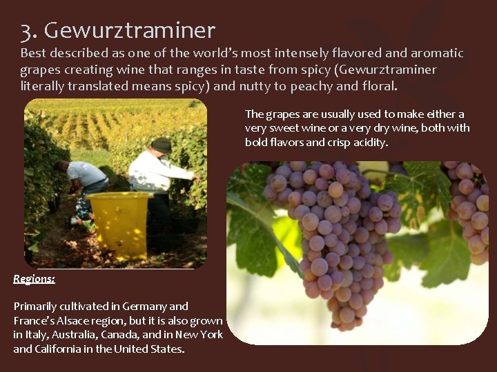 3. Gewurztraminer Best described as one of the world’s most intensely flavored and aromatic