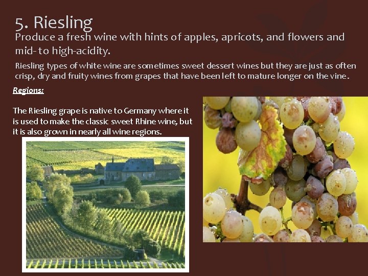 5. Riesling Produce a fresh wine with hints of apples, apricots, and flowers and