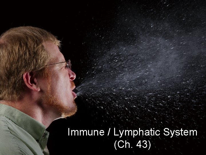 Immune / Lymphatic System (Ch. 43) 