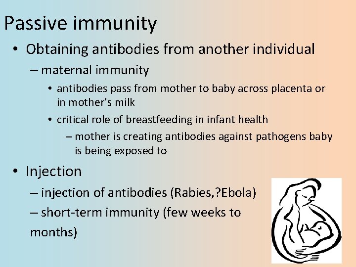 Passive immunity • Obtaining antibodies from another individual – maternal immunity • antibodies pass