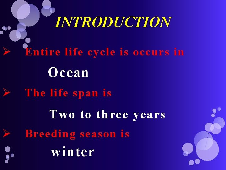 INTRODUCTION Ø Entire life cycle is occurs in Ocean Ø The life span is