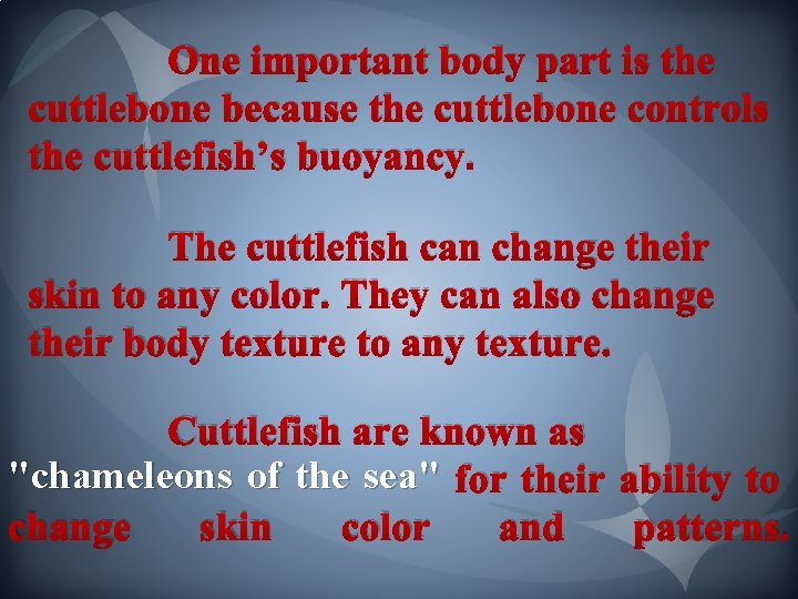 One important body part is the cuttlebone because the cuttlebone controls the cuttlefish’s buoyancy. One important body part is the cuttlebone because the cuttlebone controls the cuttlefish’s buoyancy.