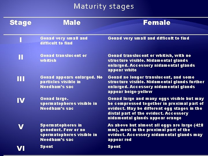 Maturity stages Stage Male Female I Gonad very small and difficult to find II