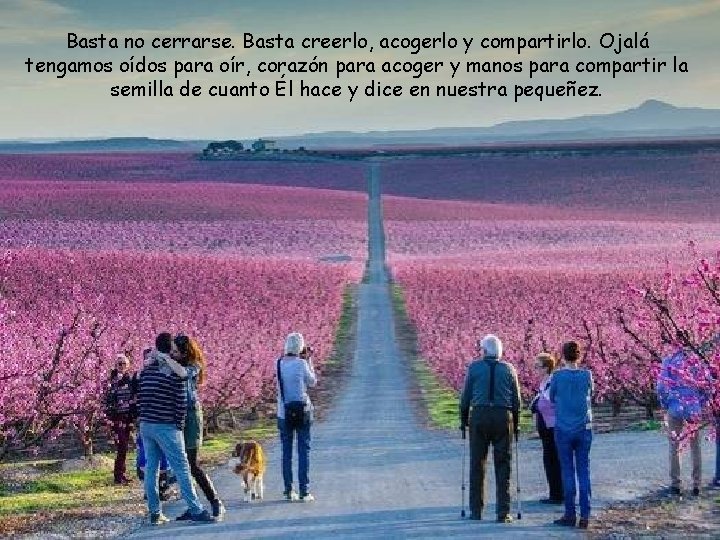 Basta no cerrarse. Basta creerlo, acogerlo y compartirlo. Ojalá tengamos oídos para oír, corazón