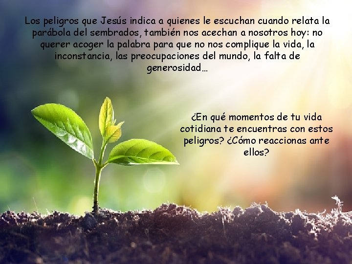 Los peligros que Jesús indica a quienes le escuchan cuando relata la parábola del