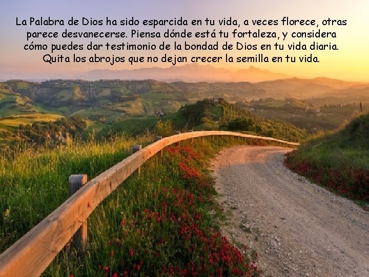 La Palabra de Dios ha sido esparcida en tu vida, a veces florece, otras