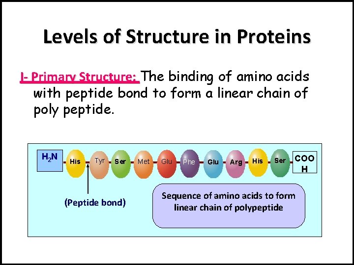 Levels of Structure in Proteins I- Primary Structure: The binding of amino acids with
