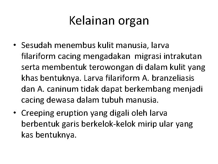 Kelainan organ • Sesudah menembus kulit manusia, larva filariform cacing mengadakan migrasi intrakutan serta