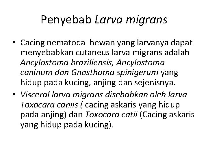 Penyebab Larva migrans • Cacing nematoda hewan yang larvanya dapat menyebabkan cutaneus larva migrans