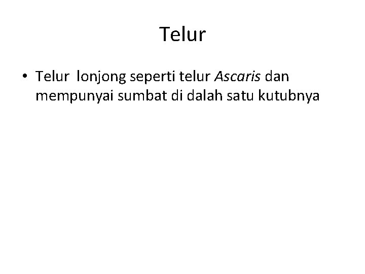 Telur • Telur lonjong seperti telur Ascaris dan mempunyai sumbat di dalah satu kutubnya