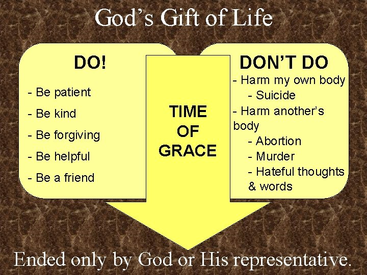 God’s Gift of Life DO! DON’T DO - Be patient - Be kind -