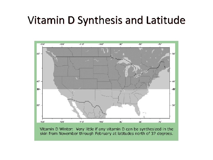 Vitamin D Synthesis and Latitude 