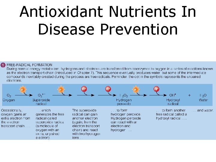 Antioxidant Nutrients In Disease Prevention 