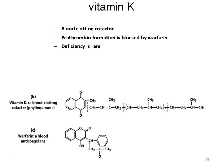 vitamin K – Blood clotting cofactor – Prothrombin formation is blocked by warfarin –