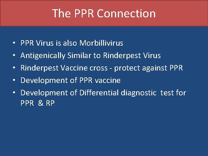 The PPR Connection • • • PPR Virus is also Morbillivirus Antigenically Similar to
