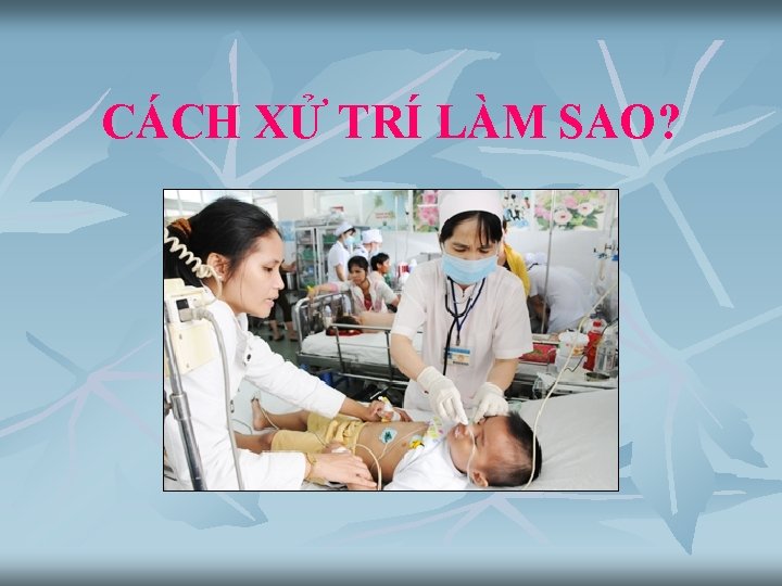 CÁCH XỬ TRÍ LÀM SAO? 