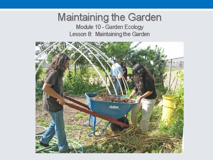 Maintaining the Garden Module 10 - Garden Ecology Lesson 8: Maintaining the Garden 