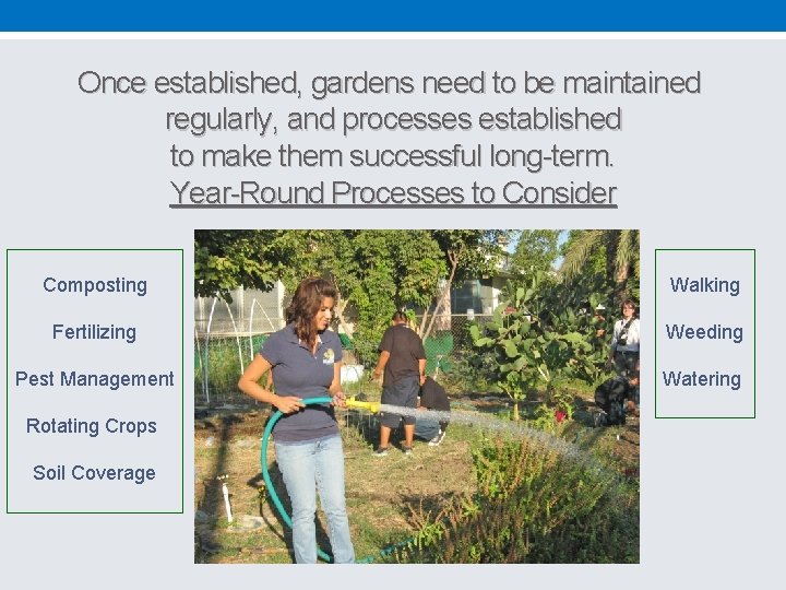 Once established, gardens need to be maintained regularly, and processes established to make them