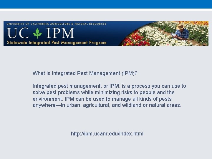 What is Integrated Pest Management (IPM)? Integrated pest management, or IPM, is a process