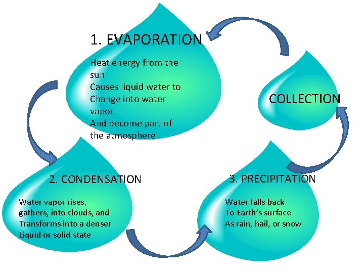 1. EVAPORATION Heat energy from the sun Causes liquid water to Change into water