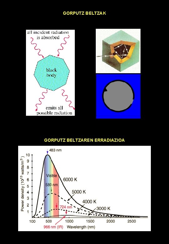 GORPUTZ BELTZAK GORPUTZ BELTZAREN ERRADIAZIOA 