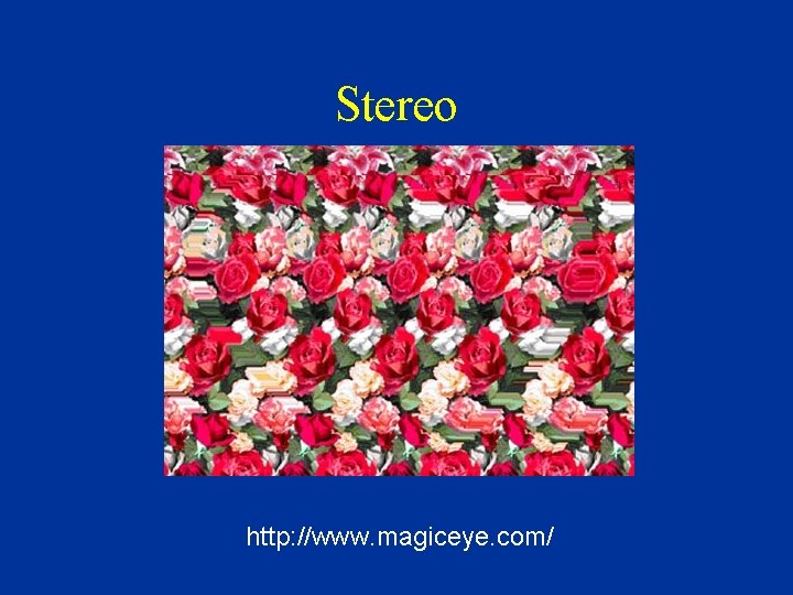 Stereo http: //www. magiceye. com/ 