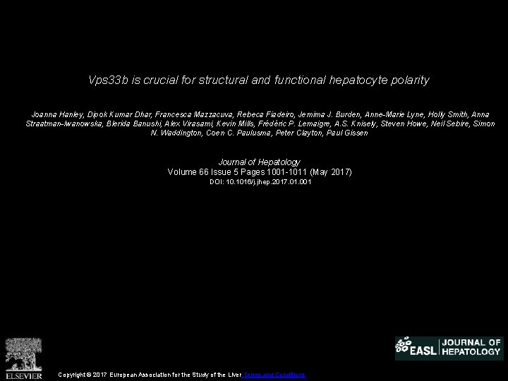 Vps 33 b is crucial for structural and functional hepatocyte polarity Joanna Hanley, Dipok
