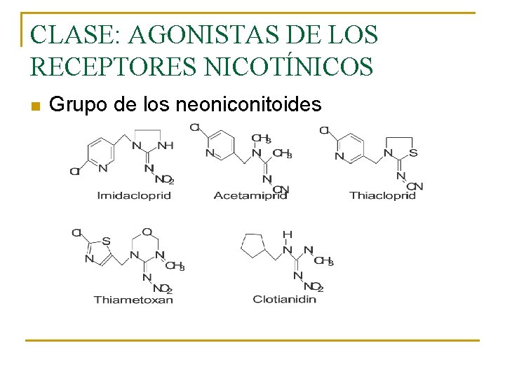 CLASE: AGONISTAS DE LOS RECEPTORES NICOTÍNICOS n Grupo de los neoniconitoides CLASE: AGONISTAS DE LOS RECEPTORES NICOTÍNICOS n Grupo de los neoniconitoides
