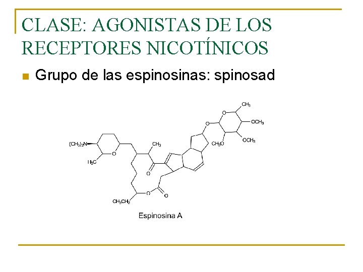 CLASE: AGONISTAS DE LOS RECEPTORES NICOTÍNICOS n Grupo de las espinosinas: spinosad CLASE: AGONISTAS DE LOS RECEPTORES NICOTÍNICOS n Grupo de las espinosinas: spinosad