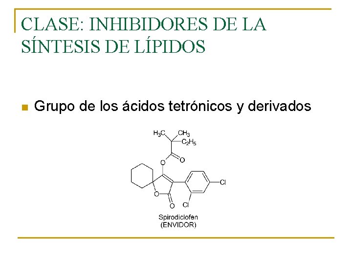 CLASE: INHIBIDORES DE LA SÍNTESIS DE LÍPIDOS n Grupo de los ácidos tetrónicos y CLASE: INHIBIDORES DE LA SÍNTESIS DE LÍPIDOS n Grupo de los ácidos tetrónicos y