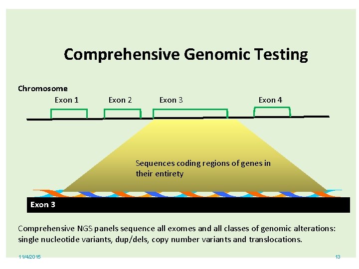 Comprehensive Genomic Testing Chromosome Exon 1 Exon 2 Exon 3 Exon 4 Sequences coding