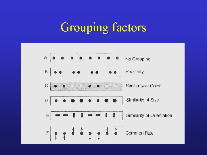 Grouping factors 