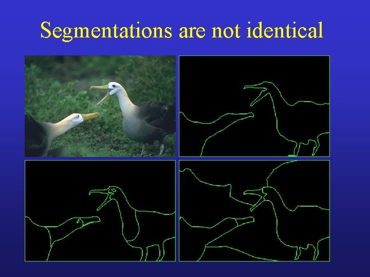 Segmentations are not identical 