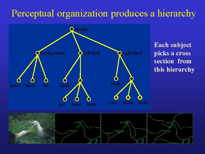 Perceptual organization produces a hierarchy image background grass bush far left bird beak eye