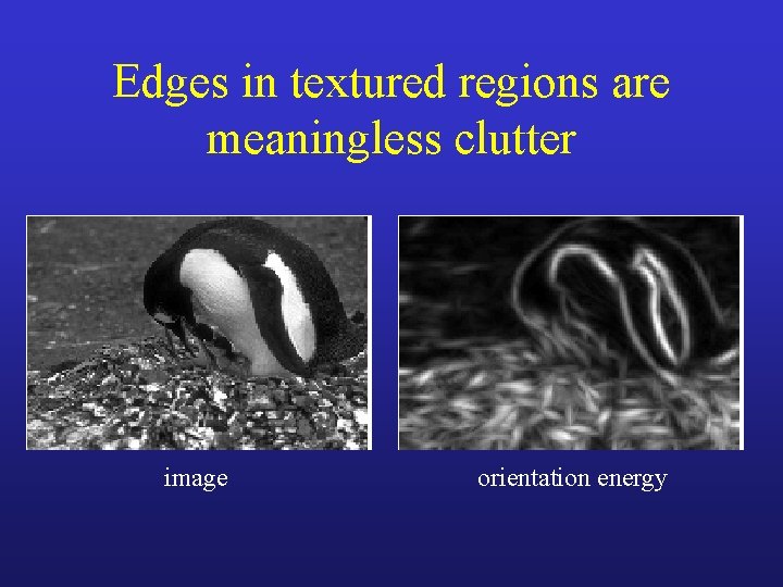 Edges in textured regions are meaningless clutter image orientation energy 