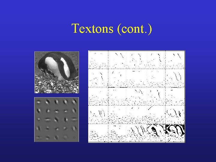 Textons (cont. ) 