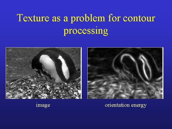 Texture as a problem for contour processing image orientation energy 