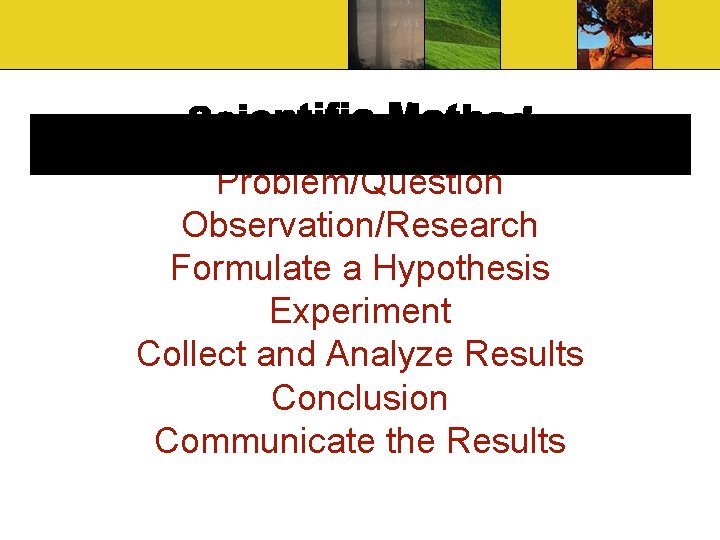 Problem/Question Observation/Research Formulate a Hypothesis Experiment Collect and Analyze Results Conclusion Communicate the Results Problem/Question Observation/Research Formulate a Hypothesis Experiment Collect and Analyze Results Conclusion Communicate the Results