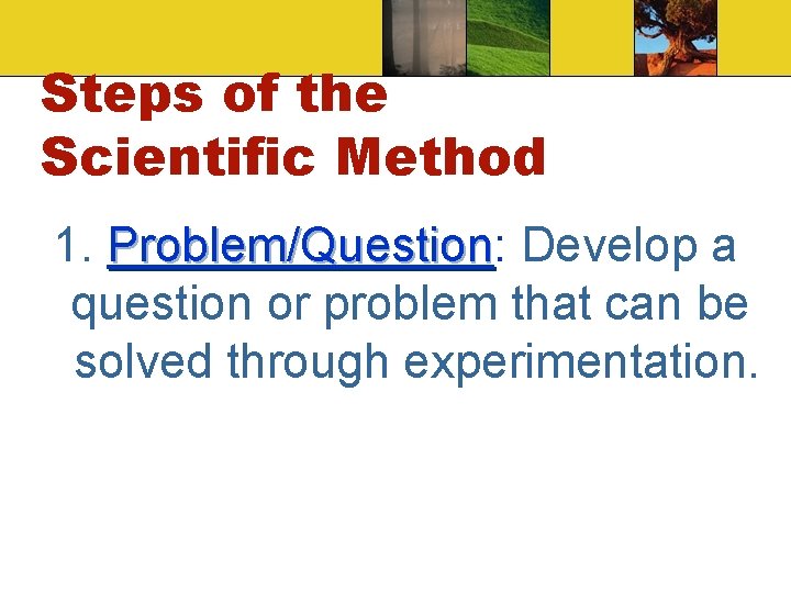 Steps of the Scientific Method 1. Problem/Question: Problem/Question Develop a question or problem that Steps of the Scientific Method 1. Problem/Question: Problem/Question Develop a question or problem that