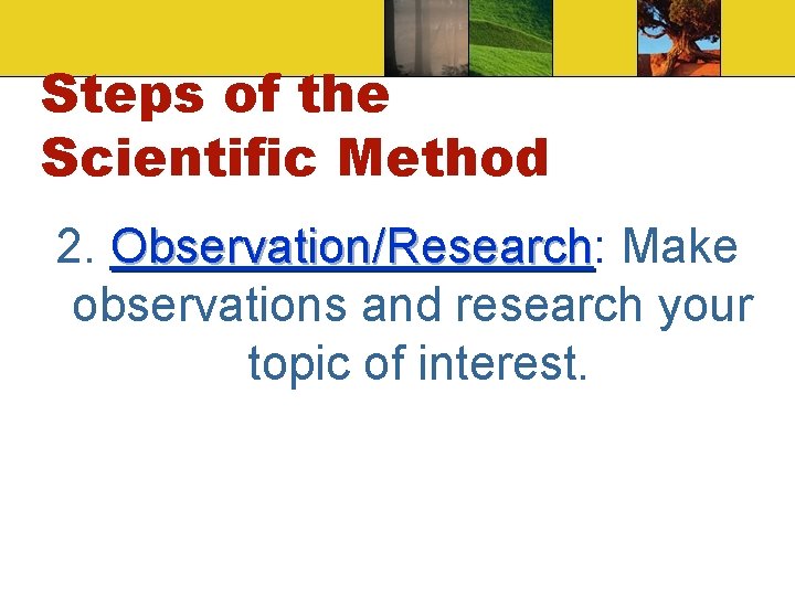 Steps of the Scientific Method 2. Observation/Research: Observation/Research Make observations and research your topic Steps of the Scientific Method 2. Observation/Research: Observation/Research Make observations and research your topic