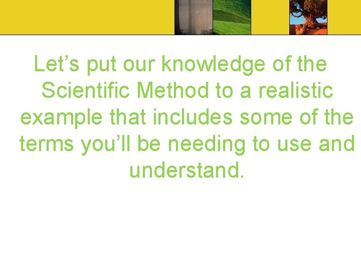 Let’s put our knowledge of the Scientific Method to a realistic example that includes Let’s put our knowledge of the Scientific Method to a realistic example that includes
