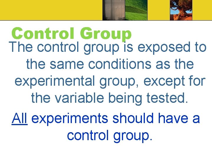 Control Group The control group is exposed to the same conditions as the experimental Control Group The control group is exposed to the same conditions as the experimental